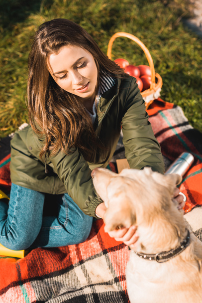 high angle view of young woman sitting on blanket and adjusting dog collar on golden retriever in park - Photo, Image