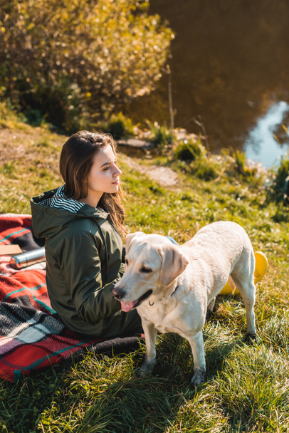 side view of cheerful young woman sitting on blanket with dog outdoors  - Foto, Bild