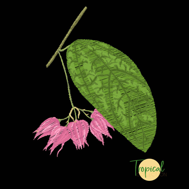 Embroidery of elements for design with tropical plants.  Colored vector illustration. Isolated on black background - ベクター画像