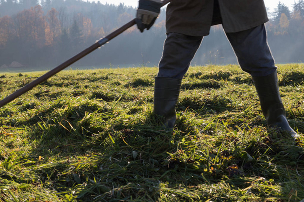 old farmer raking grass in autumn november sunny day in south german countryside near cities of munich and stuttgart - Zdjęcie, obraz