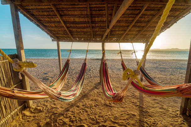 Яркие гамаки и пляж
 - Фото, изображение