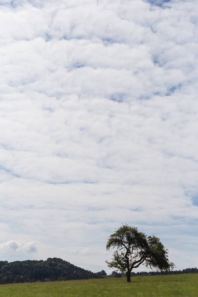 zomer wolken, cumulus en cirrus met blauwe lucht en de prachtige witte in het Duitse platteland - Foto, afbeelding