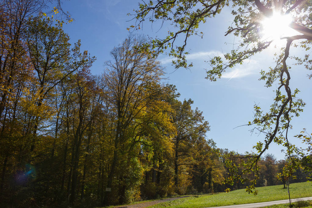 Осінній ліс у Бабине літо кольори у Південній Німеччині сільській місцевості біля Мюнхена та suttgart з зніміть Синє небо і тепле сонце світить - Фото, зображення