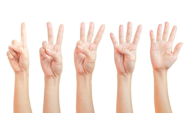 υπολογίζουμε σημάδια χέρι γυναίκες. Χρησιμοποιώντας τα δάχτυλά σύμβολο. σύνολο αριθμός ένα δύο τρία τέσσερα πέντε (1 2 3 4 5) απομονωμένα σε λευκό φόντο και διαδρομή αποκοπής. - Φωτογραφία, εικόνα