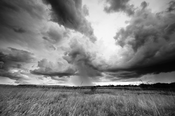 Καταιγίδα - Φωτογραφία, εικόνα