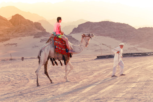 Deserto no Egito. Sharm el Sheikh. Areia e Areia Borkhan. Rock and Sunset. Um passeio estúpido num camelo com um guia. Caminhe ao pôr do sol
 - Foto, Imagem