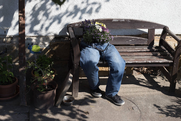 Cut-off džíny zdobí květy sedí na lavičce v zahradě jako venkovní dekorace v jižním Německu krajině na letní den v červenci - Fotografie, Obrázek