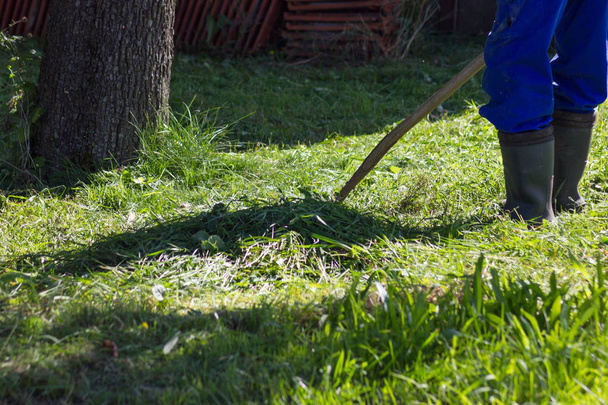 Starý farmář hrabání trávníku v jižním Německu nedaleko Stuttgartu v letních měsíc srpen - Fotografie, Obrázek