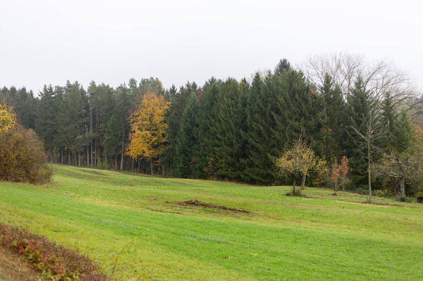 ομιχλώδης φθινόπωρο δέντρα και αφήνει στη Νότια γερμανική ύπαιθρο με καταπράσινο γρασίδι και inidan καλοκαιρινά χρώματα κοντά σε πόλεις από το Μόναχο και Στουτγκάρδη - Φωτογραφία, εικόνα