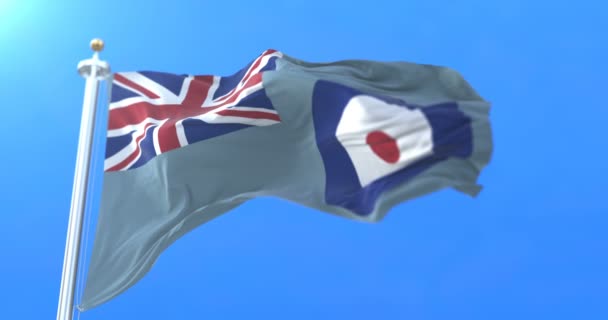 Σημαία της Royal Air Force έγνεψε σε άνεμο. Βρόχου - Πλάνα, βίντεο