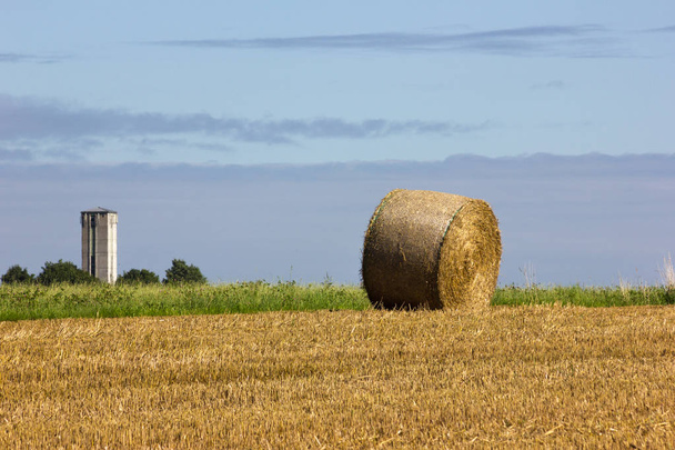 straw bale in stubblefield in south german landscape in summer month august near stuttgart - Photo, Image