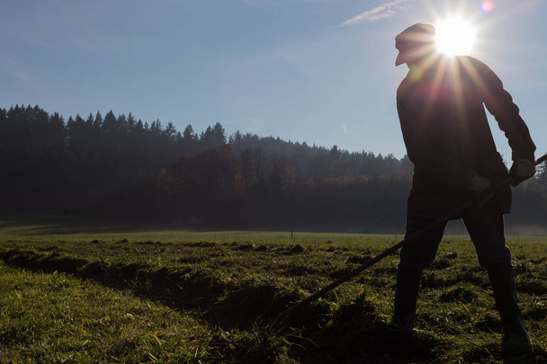 viejo granjero rastrillando hierba en otoño noviembre día soleado en el sur de Alemania campo cerca de ciudades de munich y stuttgart
 - Foto, imagen