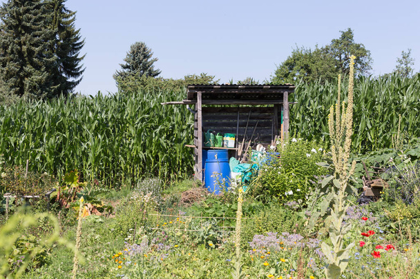 par une chaude journée d'été dans un jardin de chalet, diverses cabanes et petits coffres pour le stockage et les outils de jardinage se trouvent dans une zone près de Stuttgart en Allemagne du Sud.
 - Photo, image