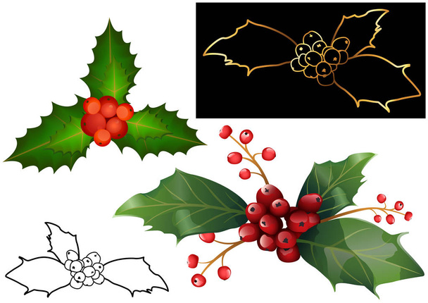 christmas holly berries and leaves collection - illustrationen für ihre weihnachtsgrafik-projekte, vektor - Vektor, Bild