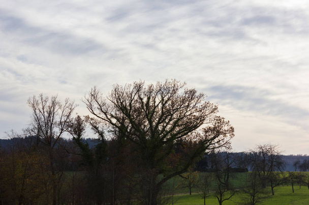 cielo foehn y nubes en otoño mes de noviembre en el sur de Alemania campo cerca de la ciudad munich y stuttgart
 - Foto, imagen