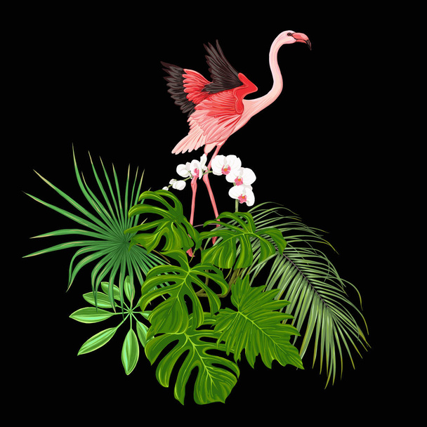 Tropik bitkiler, palmiye yaprakları, canavarlar ve flamingo Botanik ile beyaz orkide bir kompozisyon tarzı renkli vektör çizim. Siyah arka plan üzerine izole - Vektör, Görsel