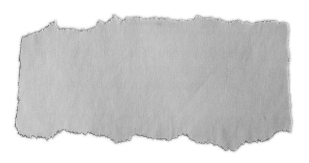Stück zerrissenes Papier isoliert auf schlichtem Hintergrund  - Foto, Bild