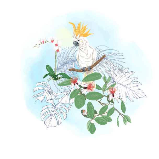 A composition of tropical plants, palm leaves, monsters and white orchids with cockatoo parrot In botanical style. Colored and outline design on watercolor background. Vector illustration. - Vetor, Imagem