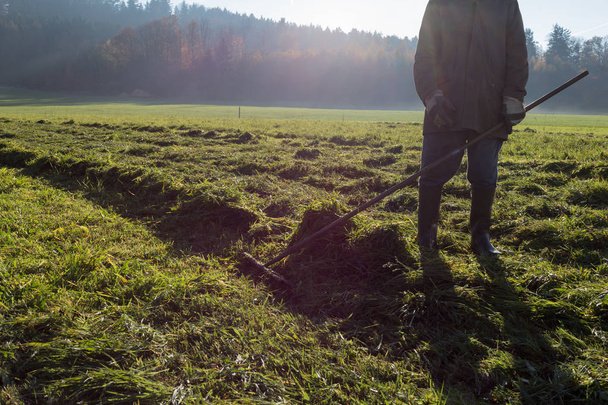 stary rolnik grabienie trawy w jesień listopad słoneczny dzień w południe niemiecki wsi, w pobliżu miasta Monachium i Stuttgartu - Zdjęcie, obraz