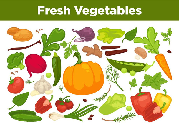 Fresh vegetables advertisement with organic healthy vegetarian products and greenery from farm full of vitamins isolated cartoon flat vector illustrations with sample text on white background. - Vettoriali, immagini