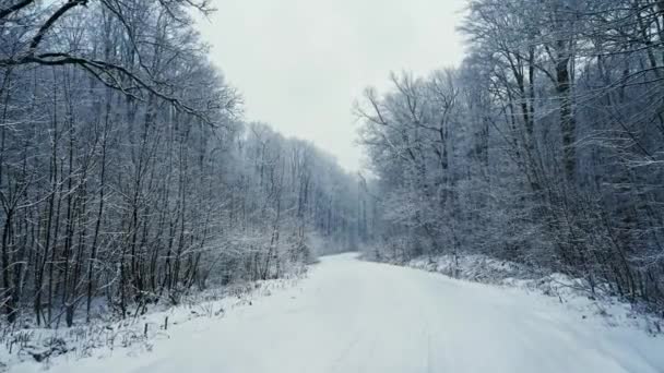 Kamerafahrt auf der verschneiten Straße im Wald. Es schneit - Filmmaterial, Video