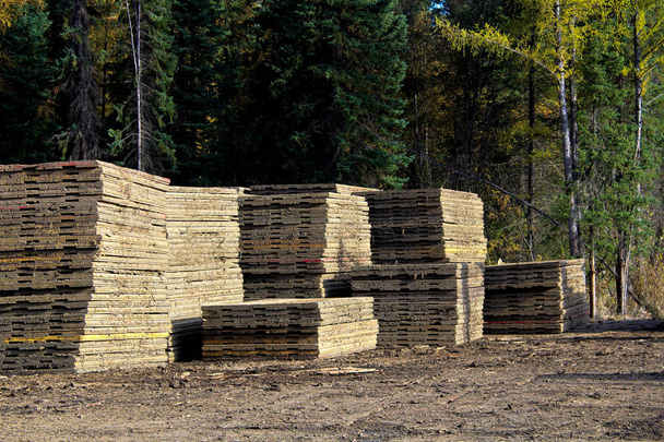 Stapels van moeras matten gebruikt voor het bouwen van wegen in veengebieden - Foto, afbeelding
