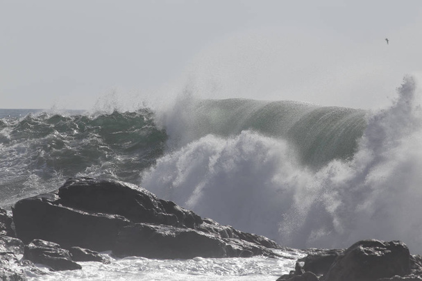 Великий гуркіт хвиль в сонячний день. Північна Португальська Скелясте узбережжі. - Фото, зображення