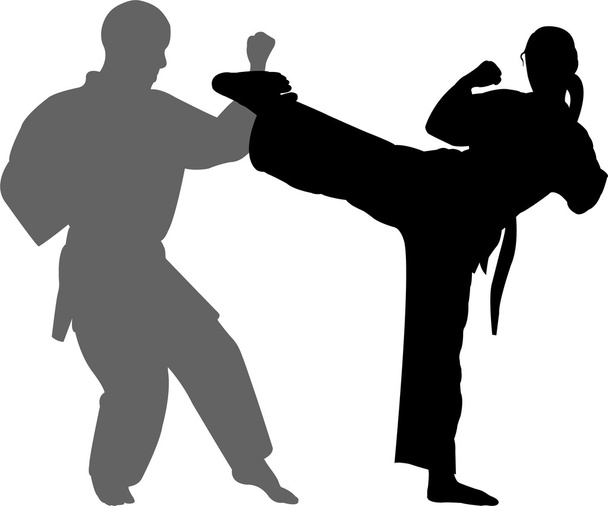 Karate maç - Vektör, Görsel