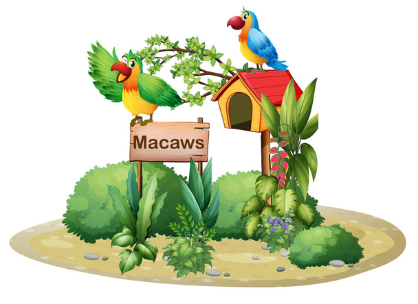 δύο Πολύχρωμο παπαγάλους πάνω από μια πινακίδα και ένα birdhouse - Διάνυσμα, εικόνα