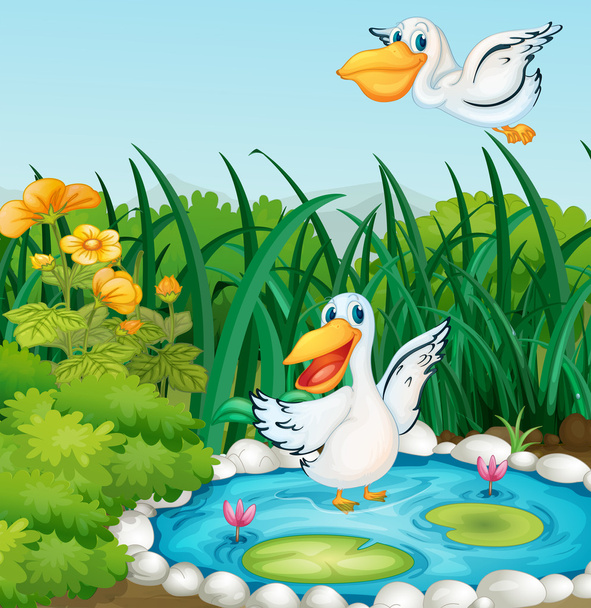 A pond with ducks - Vector, Image