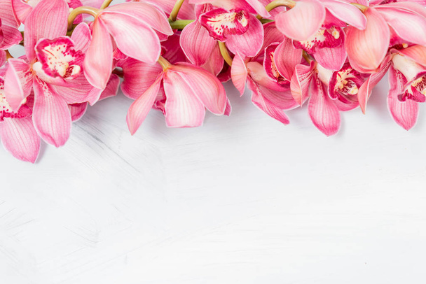 Hermosas flores rosadas de orquídeas Cymbidium. Flores de jardín japonés bastante exóticas, orquídeas tropicales en plena floración. Copiar espacio
 - Foto, imagen