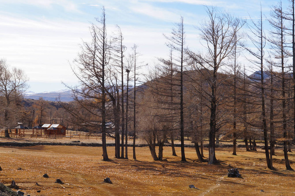 Krásný výhled poblíž Kurai stepi v altajské republice, Rusko. - Fotografie, Obrázek