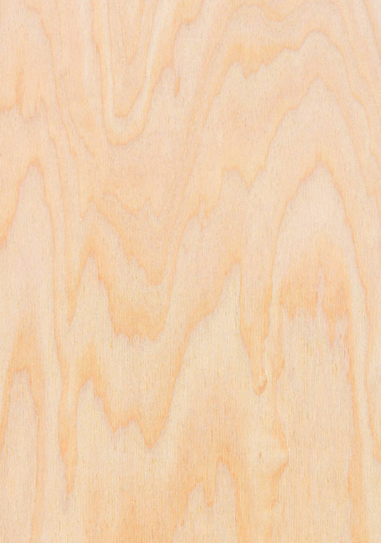 Fragment of the texture of the plywood sheet. - Photo, Image