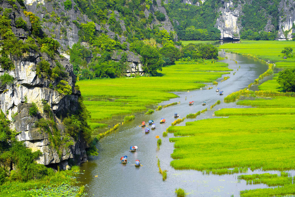 Passeio turístico barco para visão de viagem vendo campo de arroz no rio "Ngo Dong" em TamCoc, Ninhbinh, Vietnã
;  - Foto, Imagem