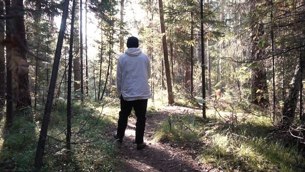 Giovane uomo solitario a piedi in profondità nella foresta tra fitta vegetazione e cespugli. Un filmato. Vista dell'uomo da dietro che cammina sul sentiero forestale. Concetto di attività all'aperto da solo
 - Foto, immagini