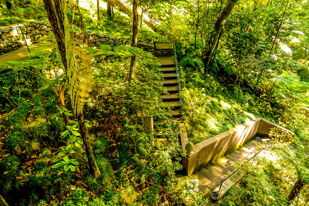 Японский тематический тропический сад за пределами Фуншала на острове Мадерия - Португалия
 - Фото, изображение