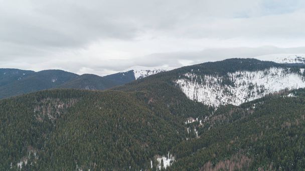 Luftaufnahme der Berge. Bukovel. Karpaten. Schnee. Winter. Wald. Bäume. Tag. - Foto, Bild