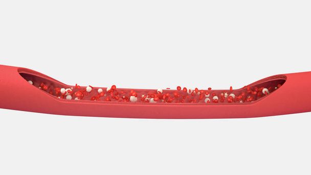 3D ilustracja krwiobiegu z czerwonych krwinek białych krwinek i płytek krwi - Zdjęcie, obraz