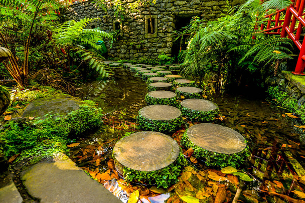 A japán témájú trópusi kertben kívül Funchal a a sziget Maderia - Portugália - Fotó, kép