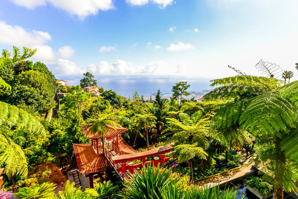 Японський тематичні тропічний сад за межами міста Фуншал на острів Maderia - Португалія - Фото, зображення