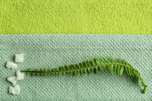 Green leaf on folded clean towels, top view - Photo, Image