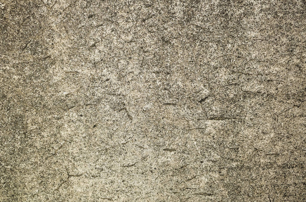 плесени стены фона, гранж текстуры грязной цементной стены - Фото, изображение