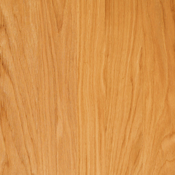 Фрагмент деревянной панели из лиственных пород дерева. Дуб
. - Фото, изображение