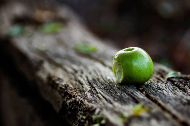 bahçede yeşil elma hasat - Fotoğraf, Görsel