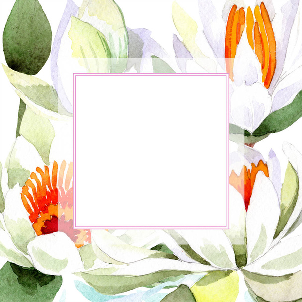Aquarel witte lotusbloem. Floral botanische bloem. Frame grens ornament vierkant. - Foto, afbeelding