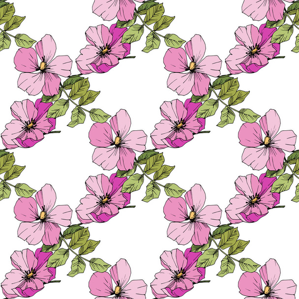 Wildflower rosa canina σε ένα στυλ διάνυσμα απομονωμένη. Πράσινος και ροζ χαραγμένο μελάνι τέχνης. - Διάνυσμα, εικόνα