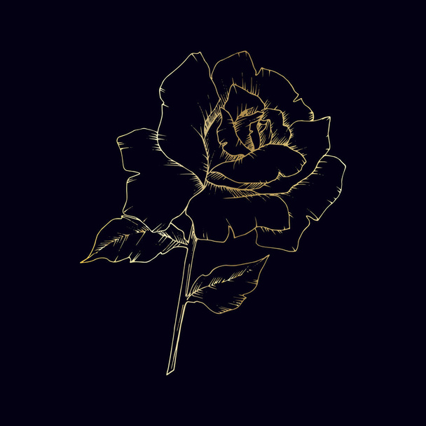 Wildflower Roses in gold in a vector style isolated. - Вектор, зображення