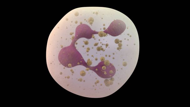 3D illustratie van neutrofiele witte bloedcel - Foto, afbeelding