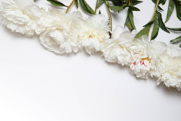 Flower border of white peonies. - Fotoğraf, Görsel