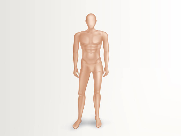 Vector 3d male mannequin, nude plastic dummy - Vector, Image